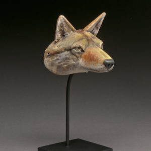 "Coyote"
