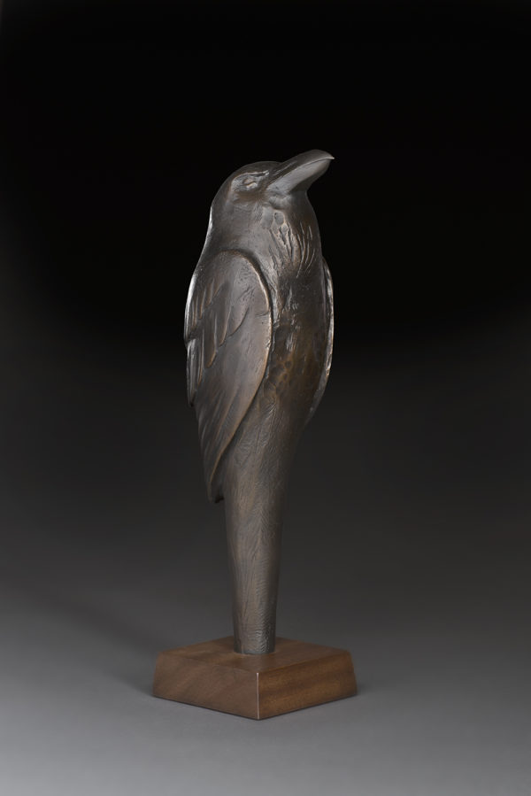 "Dreaming Guardians II: Raven"
