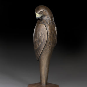 "Dreaming Guardians: Raptor"