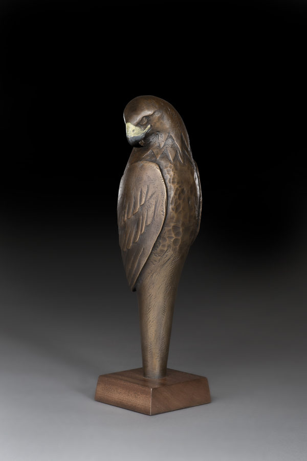 "Dreaming Guardians: Raptor"