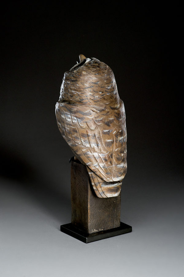 "Nocturnal Owl"