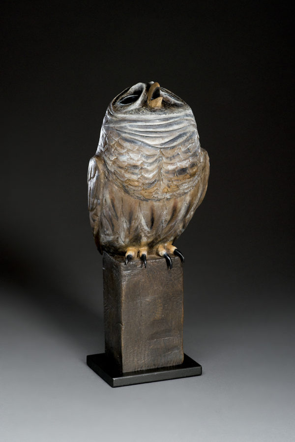 "Nocturnal Owl"