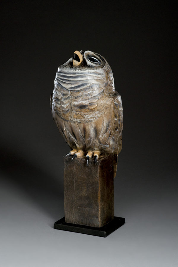 "Nocturnal Owl"