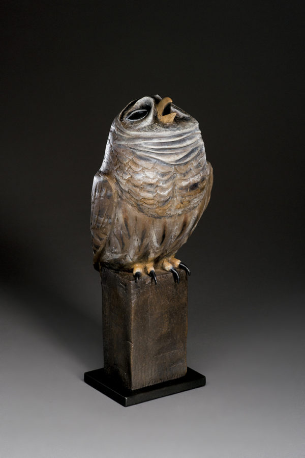 "Nocturnal Owl"