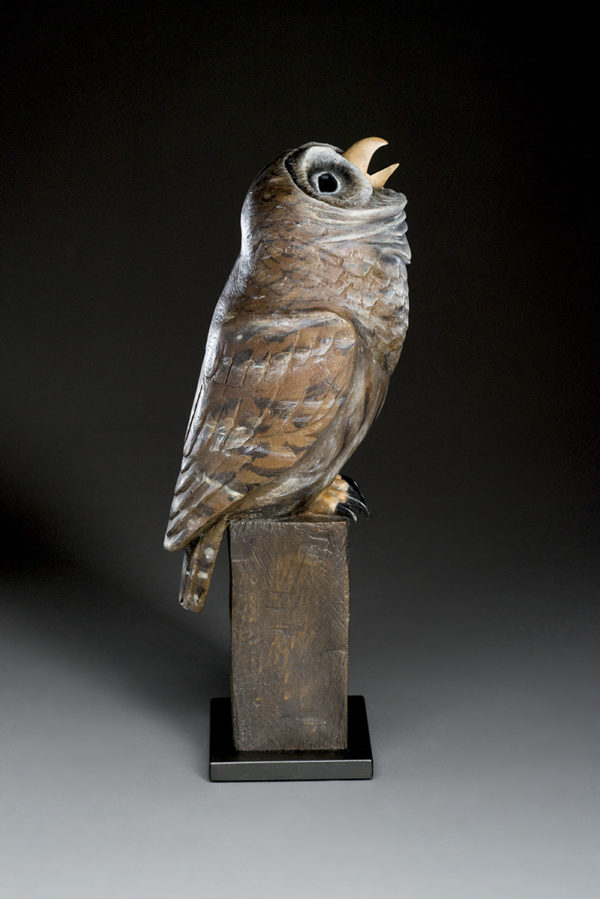 "Nocturnal Owl"