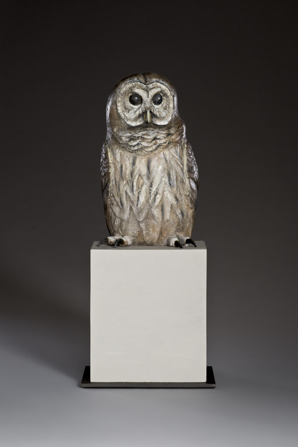 "Old Companion I"