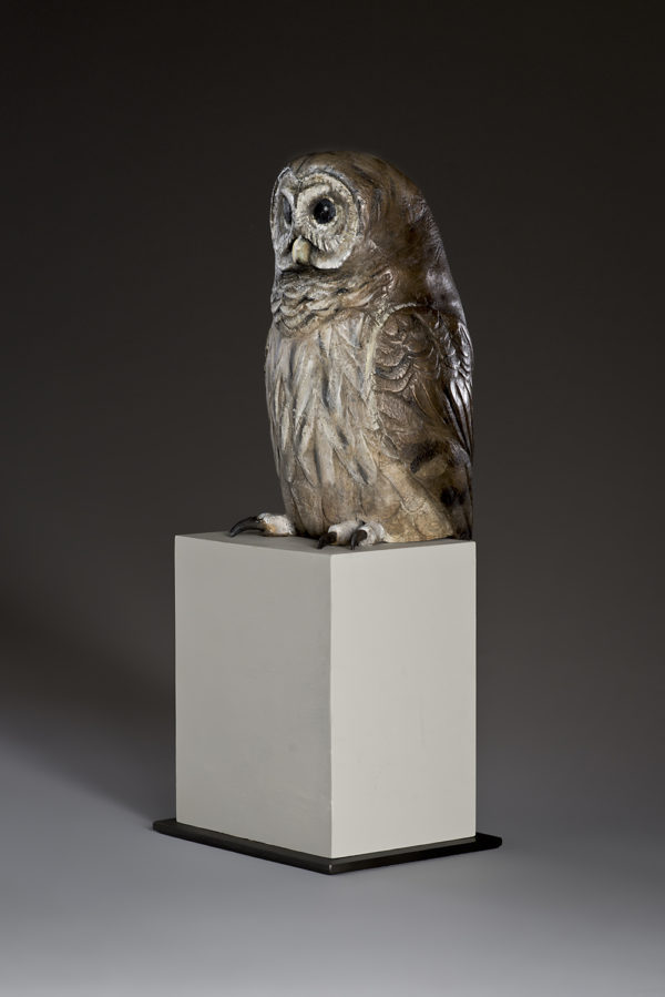 "Old Companion I"