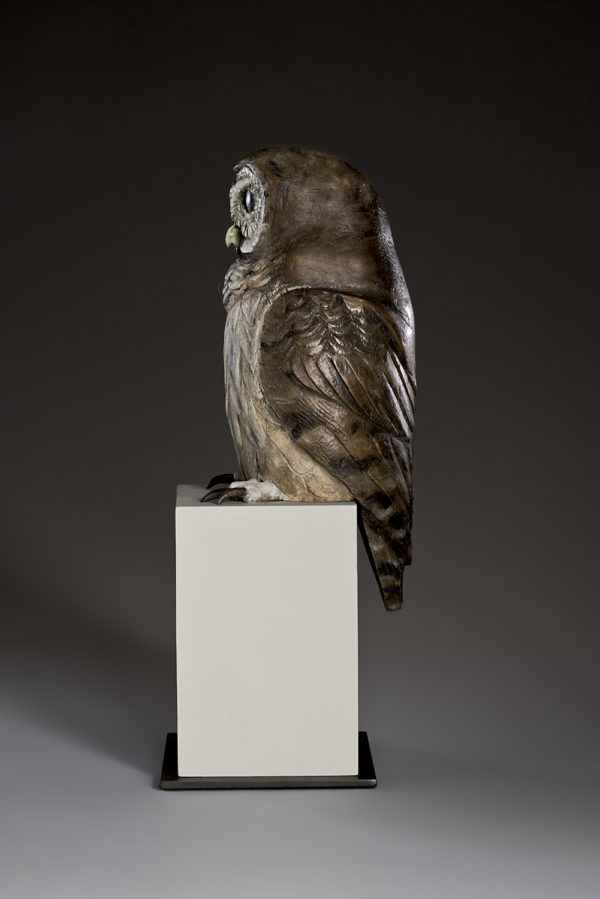 "Old Companion I"