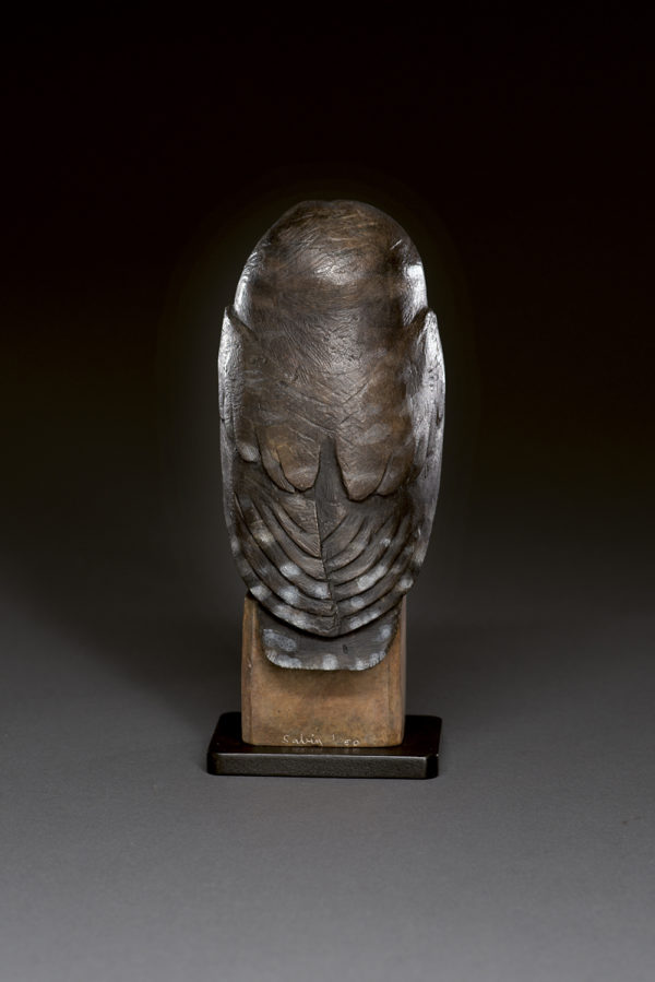 "Old Owl"