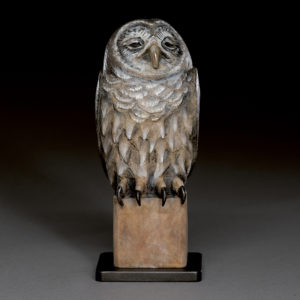 "Old Owl"