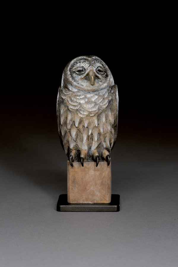 "Old Owl"