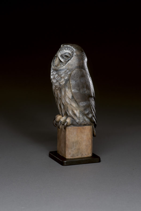 "Old Owl"