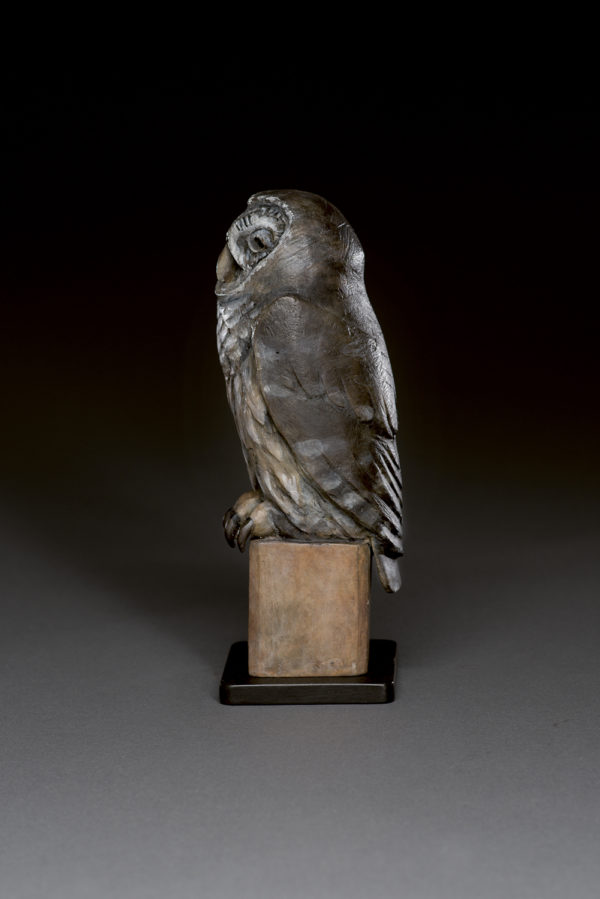 "Old Owl"