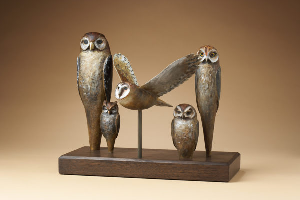 "Owl Woods" 1 of 10