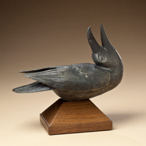 "Singing Raven"