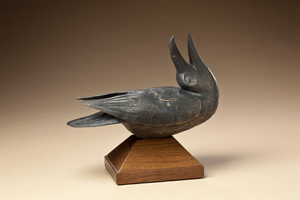 "Singing Raven"