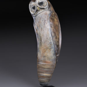 "Spirit Owl"