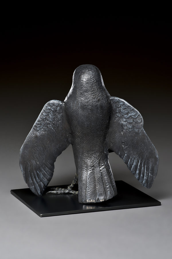 "The Dance: Black Raven"