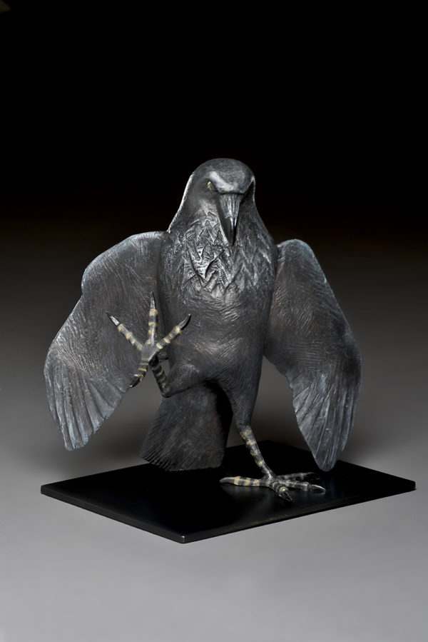 "The Dance: Black Raven"