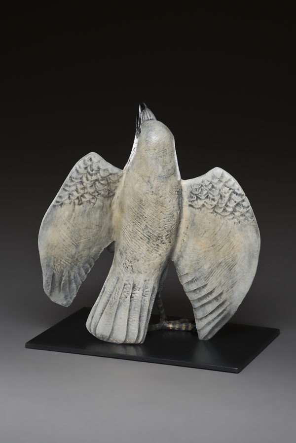 "The Dance: White Raven"