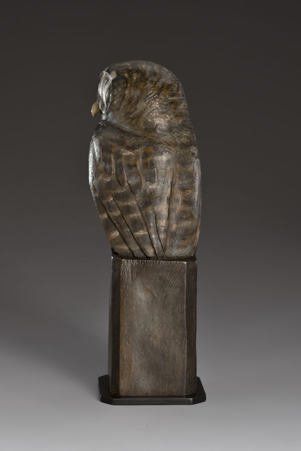 "Wounded Owl"