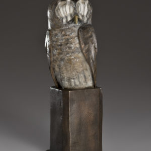 "Wounded Owl"