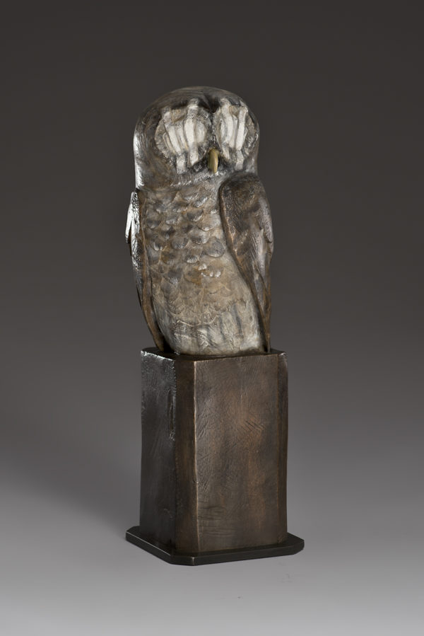 "Wounded Owl"