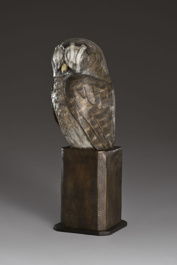 "Wounded Owl"