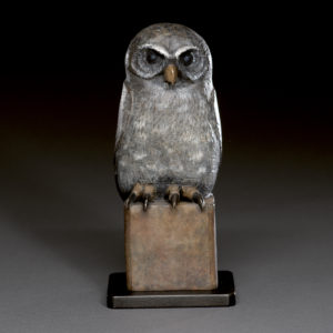 "Young Owl"