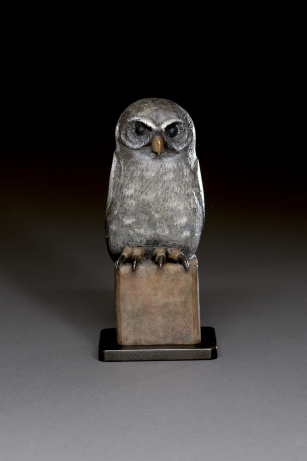"Young Owl"