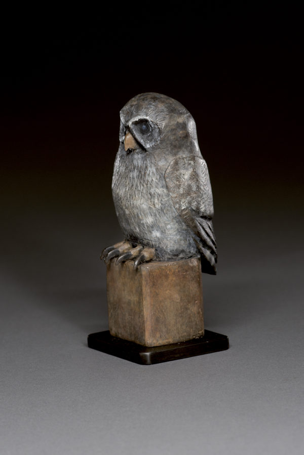 "Young Owl"