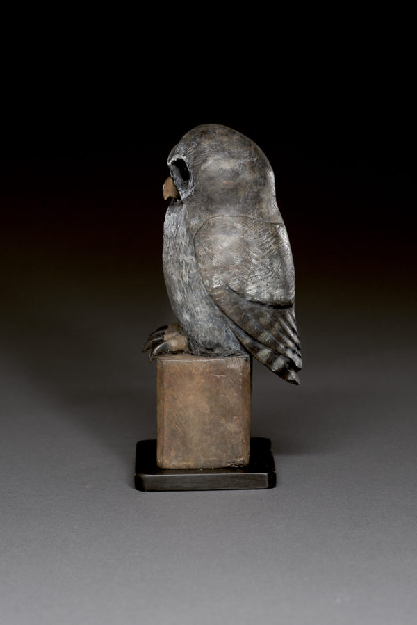 "Young Owl"