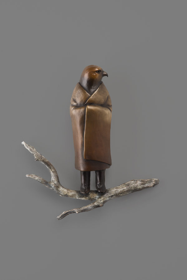 "Guardian Hawk"
