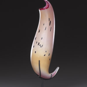"Spotted Ocher Pitcher"