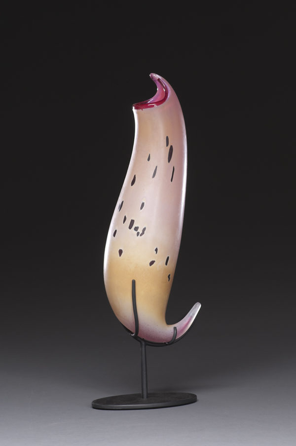 "Spotted Ocher Pitcher"