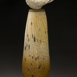 "White Raven Spirit"