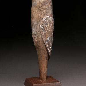 "Dreaming Owl"
