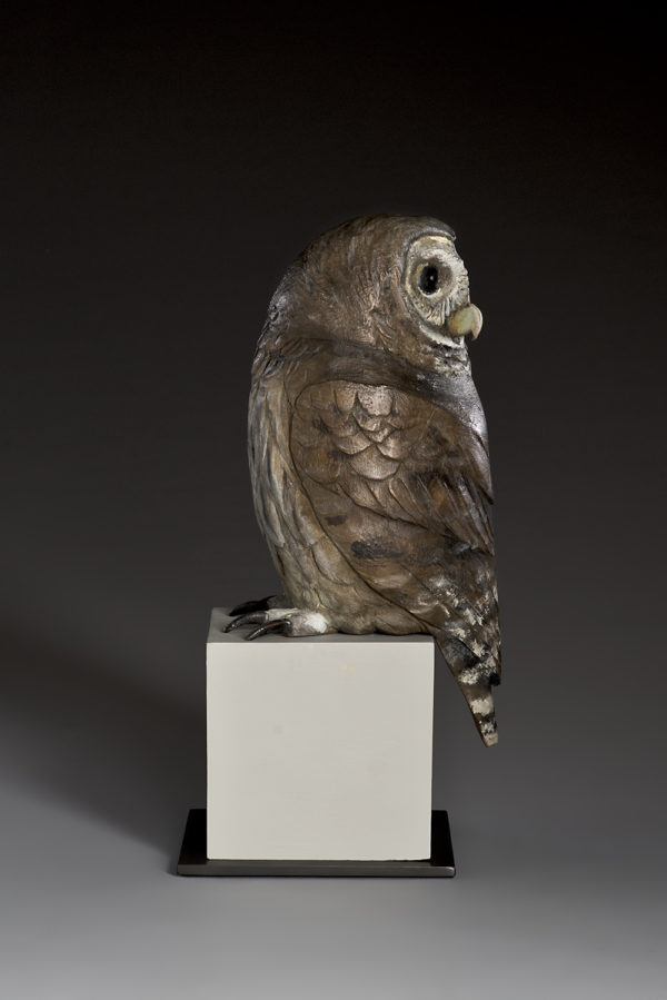 "Old Companion II"