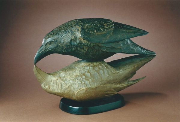 "Reflecting Raven"