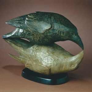 "Reflecting Raven"