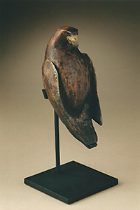 "Eagle"