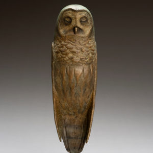 "Owl Dreaming"