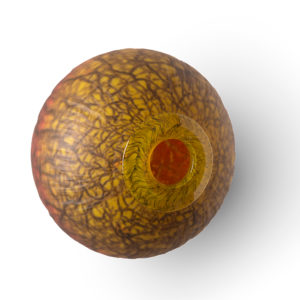 "Bosque Seed: Yellow Red"