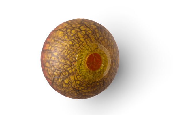 "Bosque Seed: Yellow Red"