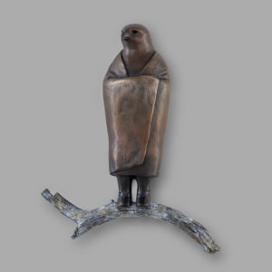 "Guardian Hawk II"