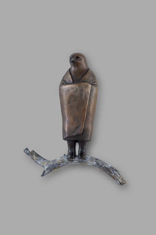 "Guardian Hawk II"