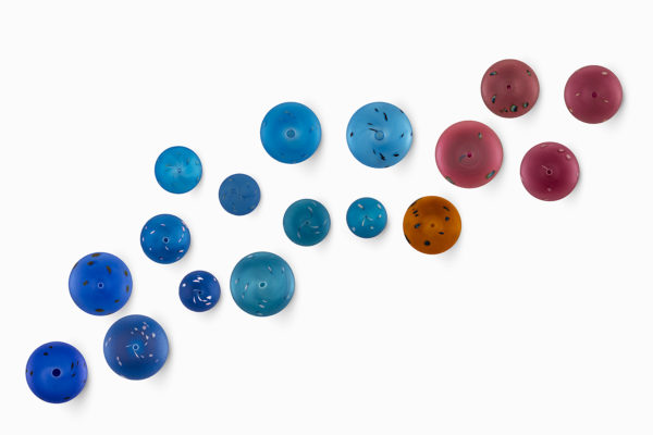 "Bosque Seeds" - Image 6