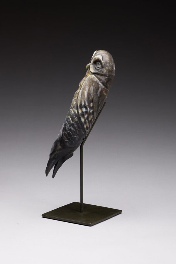 "Owl Raven Transformation Stick" - Image 3