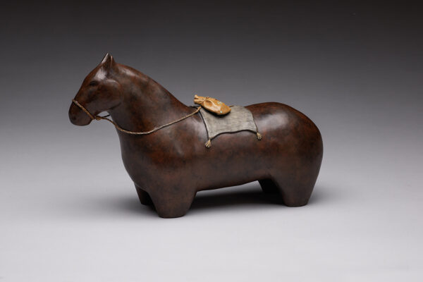 "Horse Medicine"