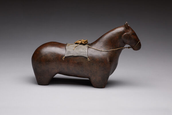 "Horse Medicine" - Image 4
